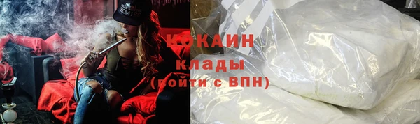 твердый Аркадак