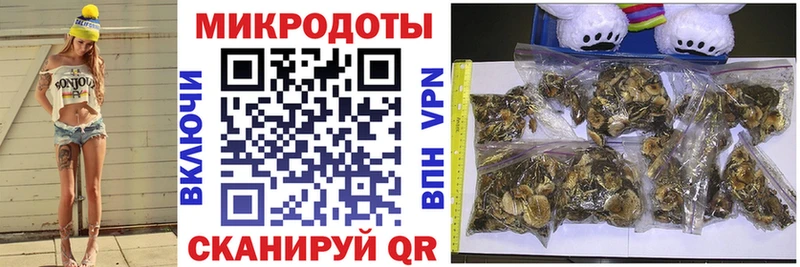 мега зеркало  Фатеж  Псилоцибиновые грибы Psilocybine cubensis 